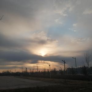 极品另类❌❌❌❌
