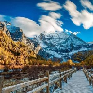 极品另类❌❌❌❌
