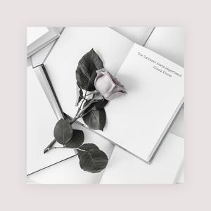 极品另类❌❌❌❌
