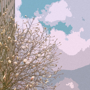 极品另类❌❌❌❌
